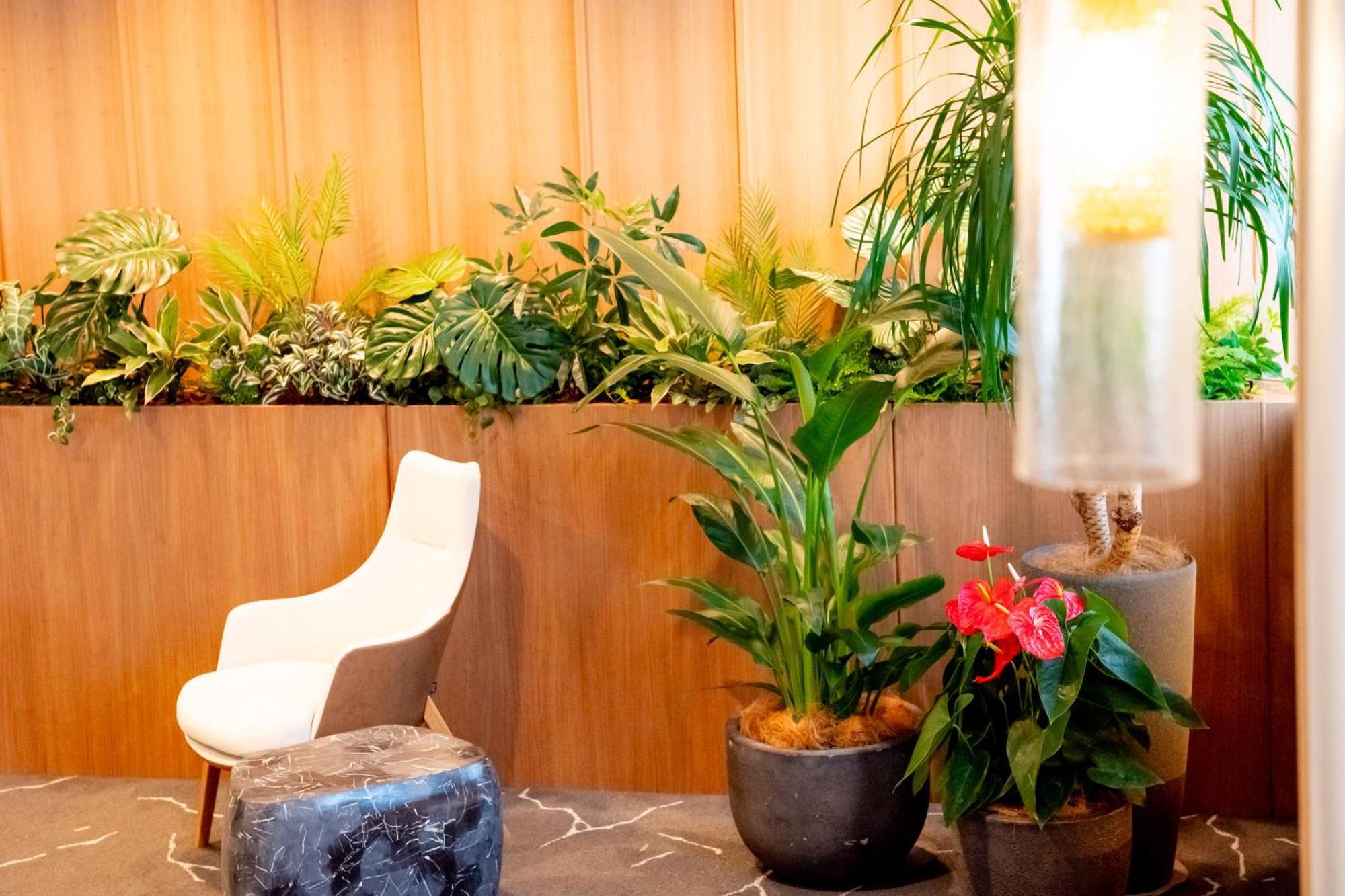 Richmond Hotel Miyazakiekimae Luaran gambar